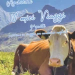 I MIEI VIAGGI, 9^ parte (mettersi in viaggio per conoscersi meglio)